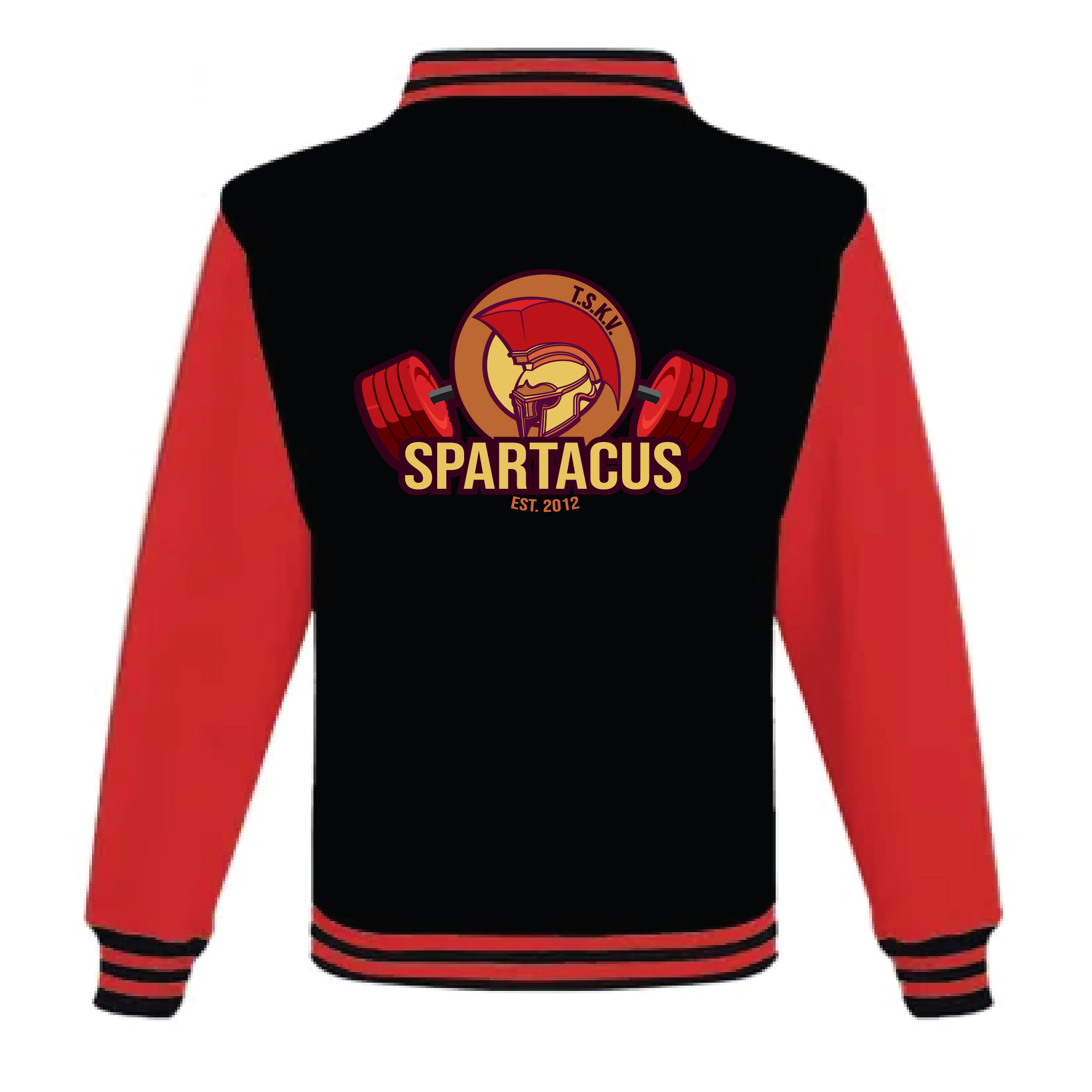 Varsity Jacket back